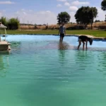 piscina-natural-vacaciones-conscientes-zamora
